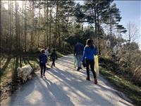 Čistilna akcija Po poljanskih poteh