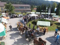 Mihaelov sejem 2018