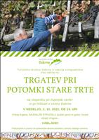 Trgatev stare potomke 