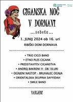 Ciganska noč
