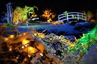 4. Božična bajka Slovenije