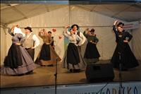 Peli in plesali so jih mati moja