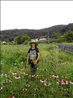 Poletje na Grilovi domačiji 2021