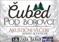 Čubed pod borovci - akustični večeri