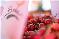 Praznik češenj 2019