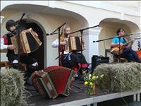 Veselo s harmoniko Gašper Štajnar s prijatelji 