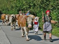 62. Kravji bal v Bohinju (ETNO VIKEND)