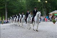 Glasbeni večer z lipicanci v Bohinju