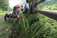 Aktivne počitnice na podeželju