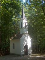 VIDOVO PROŠČENJE IN VESELI POPOLDAN OB BUKOVNIŠKEM JEZERU