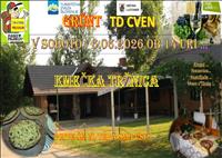 KMEČKA TRŽNICA 