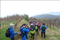 POHOD PO ŠEMPASKIH BREGOVIH