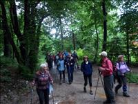 Pohod po Svarunovi poti